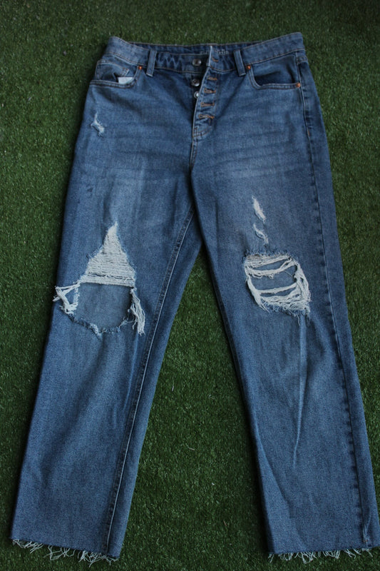 Distressed Blue Jeans. Wild Fable (8)